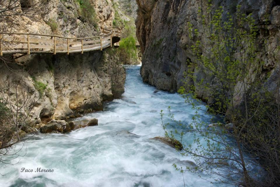 Alojamiento Rural, Cueva De La Abuela Cuevas del Campo 외부 사진
