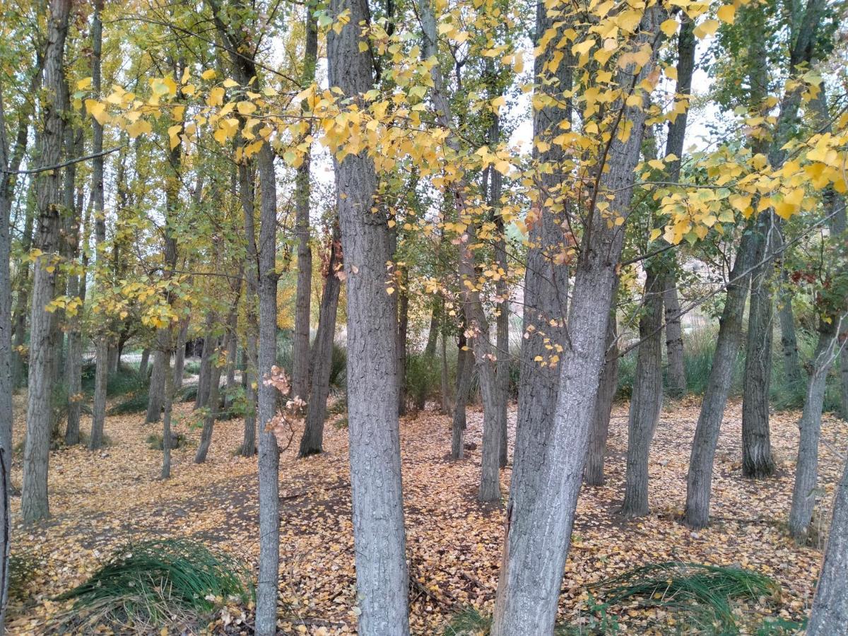 Alojamiento Rural, Cueva De La Abuela Cuevas del Campo 외부 사진