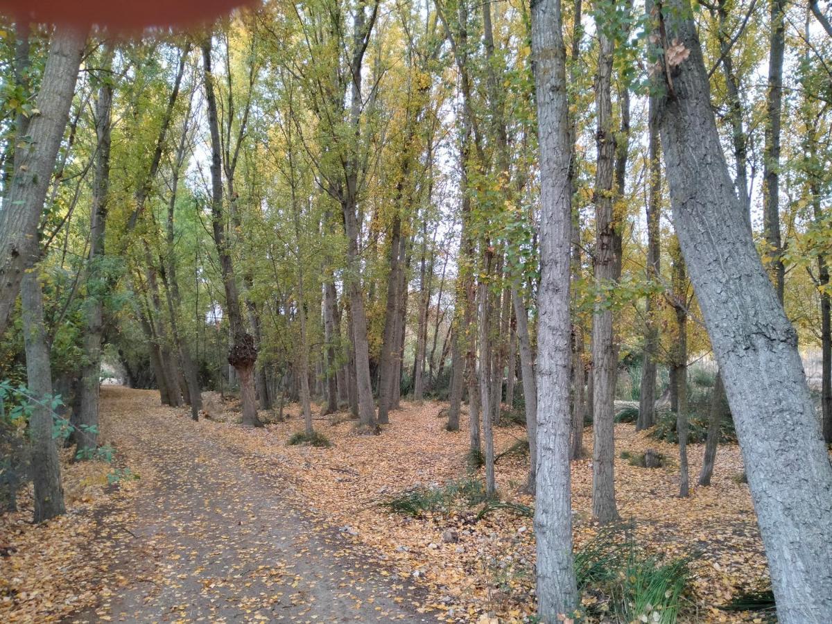 Alojamiento Rural, Cueva De La Abuela Cuevas del Campo 외부 사진